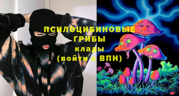 mdma Бородино