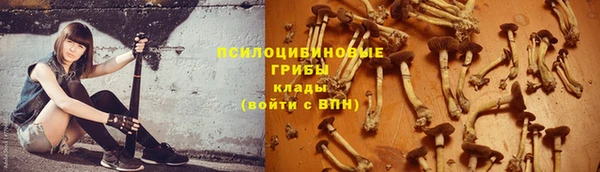 mdma Бородино