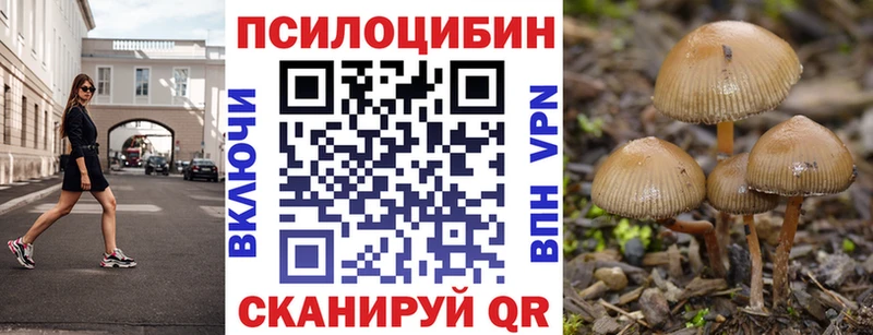 гидра маркетплейс  Корсаков  Псилоцибиновые грибы GOLDEN TEACHER 
